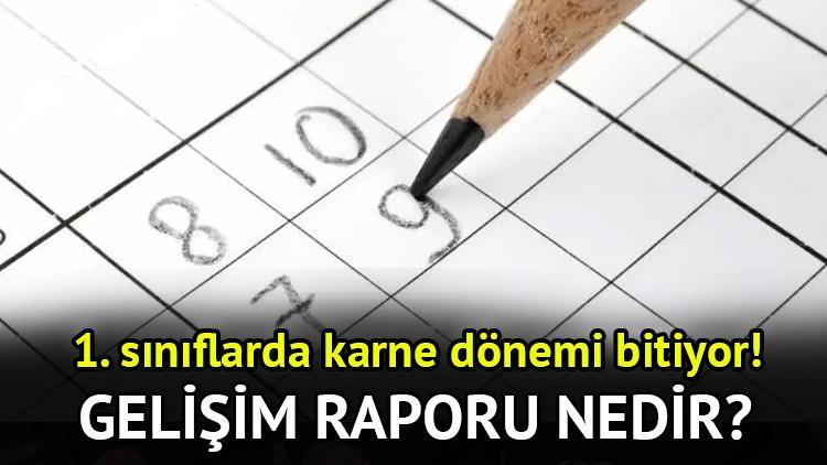 2024-2025 Eğitim Dönemi ve Gelişim Raporu Uygulaması