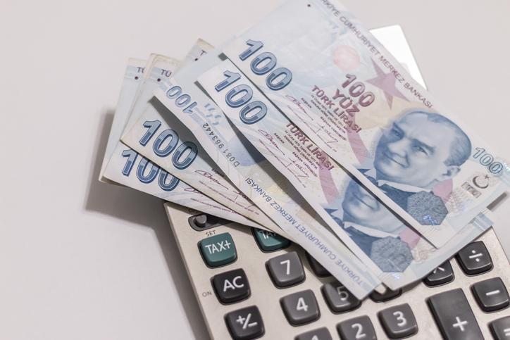 Seyyanen Zam Nedir?