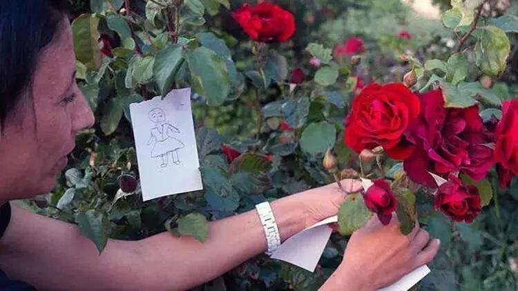 Hıdırellez 2024: Kutlama Tarihi ve Gelenekleri