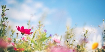 nevruz-ne-zaman-2024-hangi-gune-denk-geliyor-nevruz-bayrami-nedirnedenkutlanir-4OfHqay5.jpg