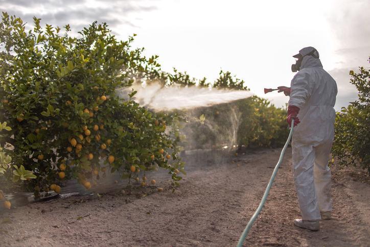 Pestisitlerin Zararları Nelerdir?