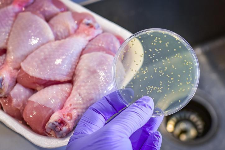 Salmonella Hakkında Bilgiler