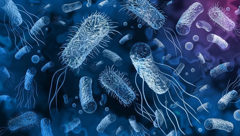 Salmonella Öldürür Mü?