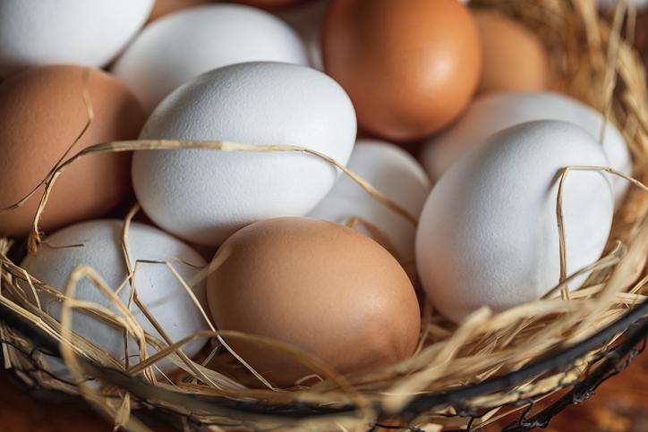 Yumurta Tüketiminin Beyin Sağlığı Üzerindeki Etkileri